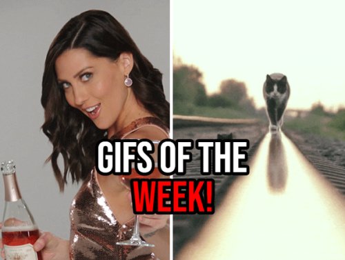 GIFs that kept GIF-ing all damn week (26 GIFs) 1