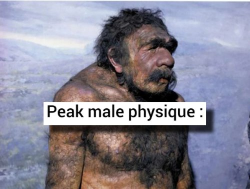 Top Notch Dank Memes of the Week (25 Photos) 1