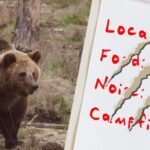 Your Campsite Report Card, as Written by the Bear About to Eat You 11
