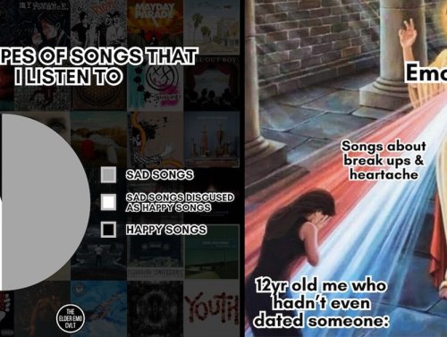 25 Emo Memes for Pop Punk Professionals 1