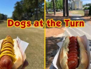 What the World Needs Now Is Hot Dogs at the Turn 13