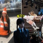 You’re Just in Time for WTF Wednesday! 29