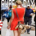 BEER-a-FULL memes for the Fri-Yay 19