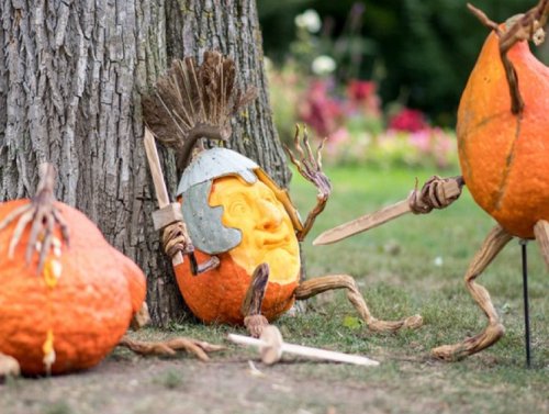 Daily Morning Awesomeness 1