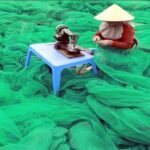 Weekend Afternoon Randomness 6