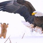 Weekend Morning Awesomeness 6
