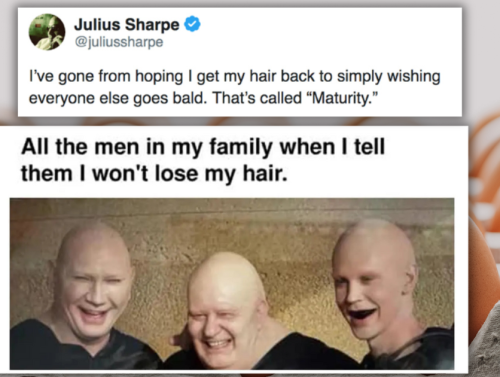 The Bald and the Beautiful: Polished Memes for the Hairless 1