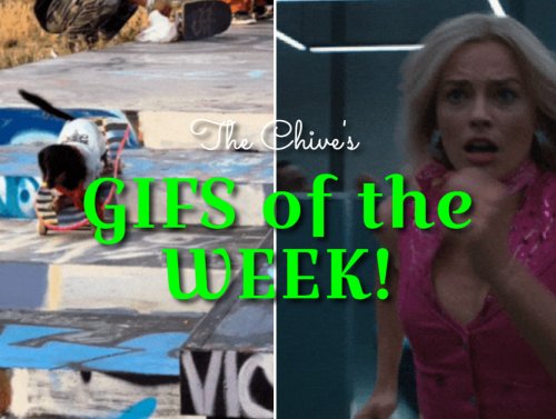 GIFs that kept GIF-ing all damn week 1