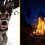 Yearning for the Great Outdoors Thanks to These Bushcraft Pics 2