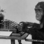 Longest Sentences Produced by a Monkey I Borrowed Money from but Never Paid Back 22