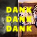 Welcome to the Deep End of the Dank Meme Pool 12