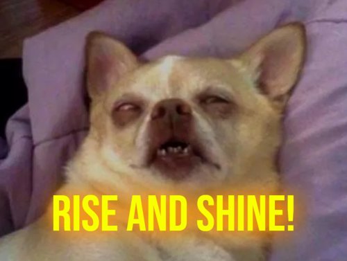 Wake Up to Some Morning Memes for Breakfast 1