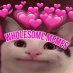 Happy Wholesome Memes Coming at Ya Quick 6