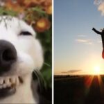 A Little Inspiration, One Meme at a Time 15