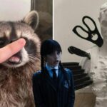 I Nearly Forgot About WTF Wednesday 5