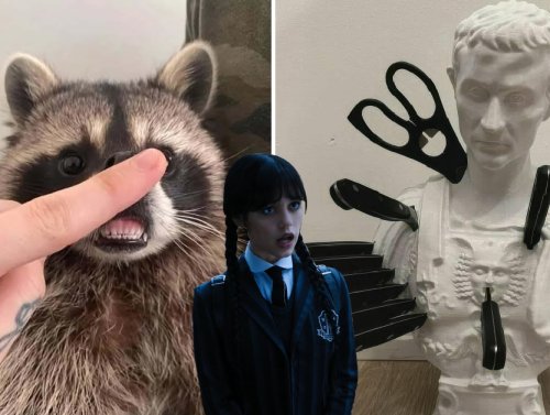 I Nearly Forgot About WTF Wednesday 1