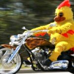 Weekend Afternoon Randomness 13