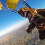 Weekend Morning Awesomeness 25