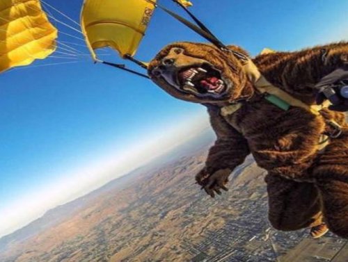 Weekend Morning Awesomeness 1