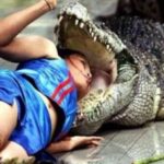 Weekend Morning Awesomeness 15