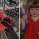 One Big Oof After Another 25