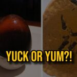 I’m Not Hungry Anymore… 12 Weird Foods from Around the World! 28