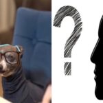 These Creative Fixes for Everyday Problems are Genius… Maybe 16