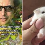 Wholesome Memes Are Needed STAT! 28