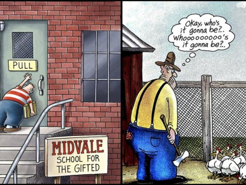 If You Grew Up With “The Far Side,” This One’s For You 1