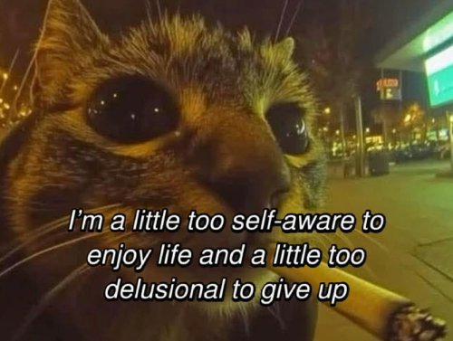 You Laugh, You Lose. Come Play. 1