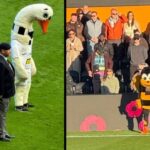 Mascots Standing in Silence Might Be the Most Absurd and Hilarious Aspect of Sports 6