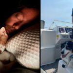 Dads Who Fell in Love with the Pets They ‘Never Wanted’ 7