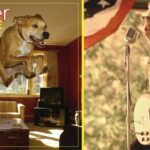 Weezer’s Pop-Fueled ‘Raditude’ Celebrates 16th Anniversary 16