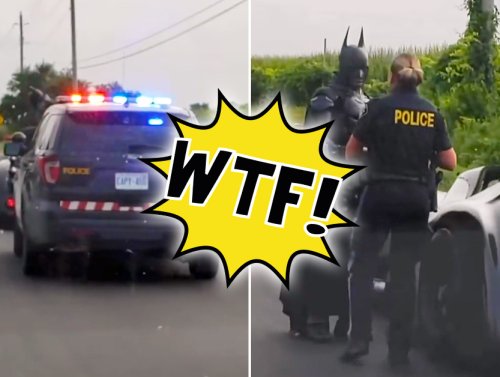 Gee Willikers, Batman! What in the Actual F**k Just Happened? 1