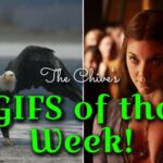 GIFs that kept GIF-ing all damn week 6