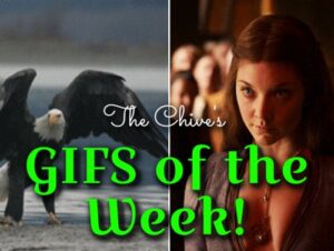 GIFs that kept GIF-ing all damn week 12