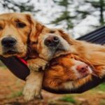 Weekend Afternoon Randomness 11