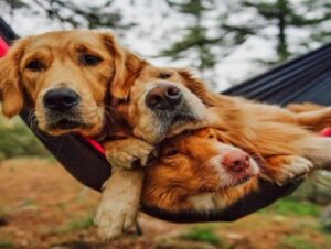 Weekend Afternoon Randomness 18