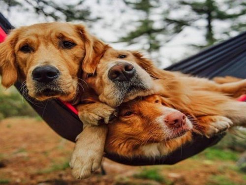 Weekend Afternoon Randomness 1