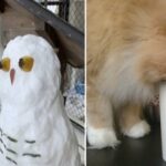 Blessed or Cursed… How About Both? 5