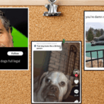 Yeah, These Takes Are All Perfect 5